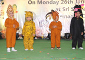 gallery images