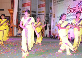 gallery images