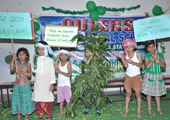 gallery images
