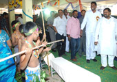 gallery images