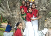 gallery images