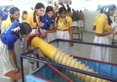 gallery images
