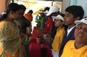 gallery images