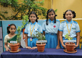 gallery images
