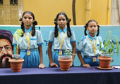 gallery images