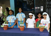 gallery images