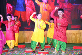 gallery images