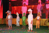 gallery images
