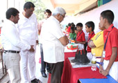 gallery images