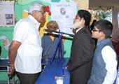 gallery images