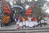 gallery images
